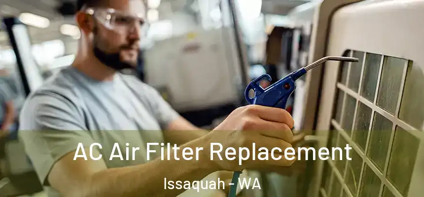  AC Air Filter Replacement Issaquah - WA