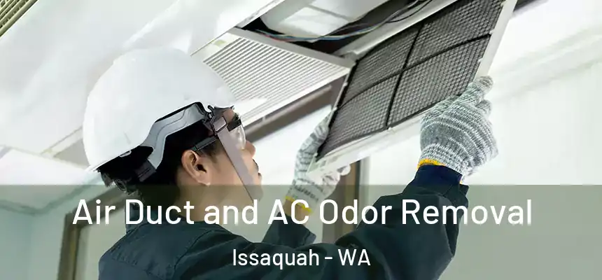  Air Duct and AC Odor Removal Issaquah - WA
