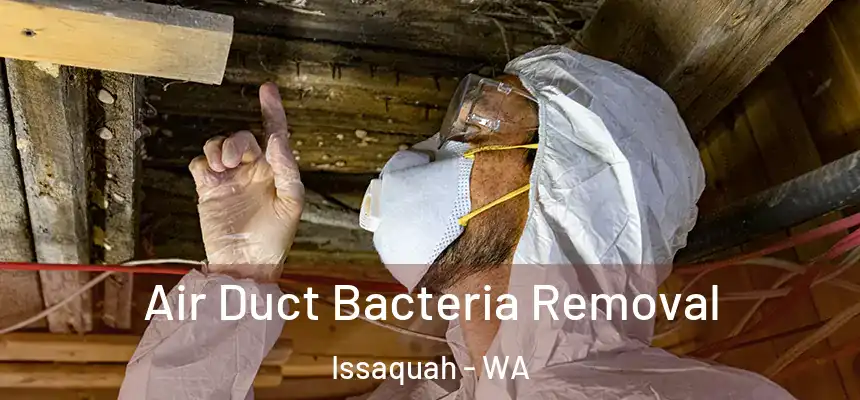  Air Duct Bacteria Removal Issaquah - WA