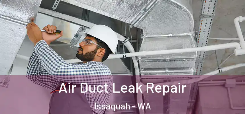  Air Duct Leak Repair Issaquah - WA