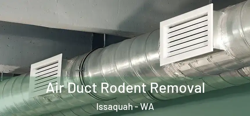  Air Duct Rodent Removal Issaquah - WA
