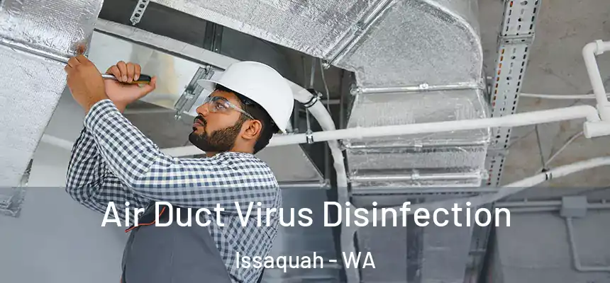  Air Duct Virus Disinfection Issaquah - WA