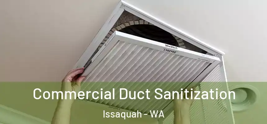  Commercial Duct Sanitization Issaquah - WA