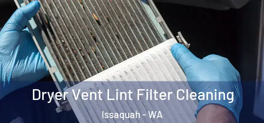  Dryer Vent Lint Filter Cleaning Issaquah - WA