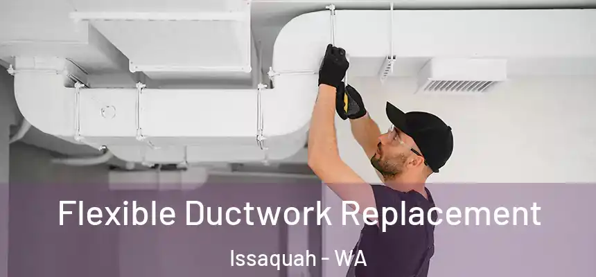  Flexible Ductwork Replacement Issaquah - WA