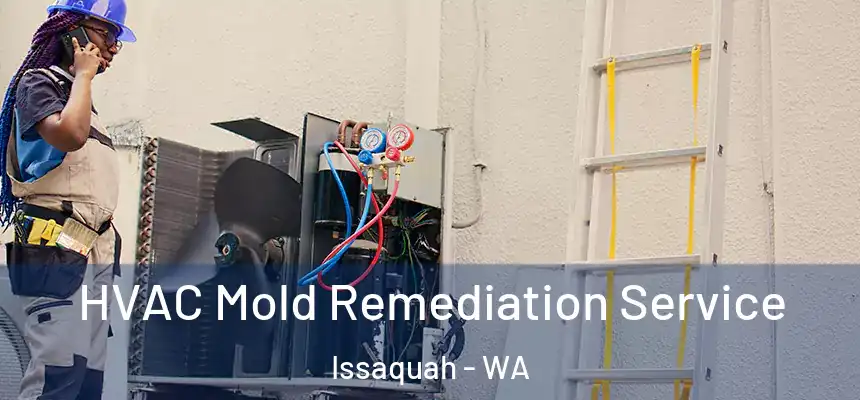  HVAC Mold Remediation Service Issaquah - WA