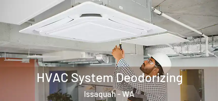  HVAC System Deodorizing Issaquah - WA