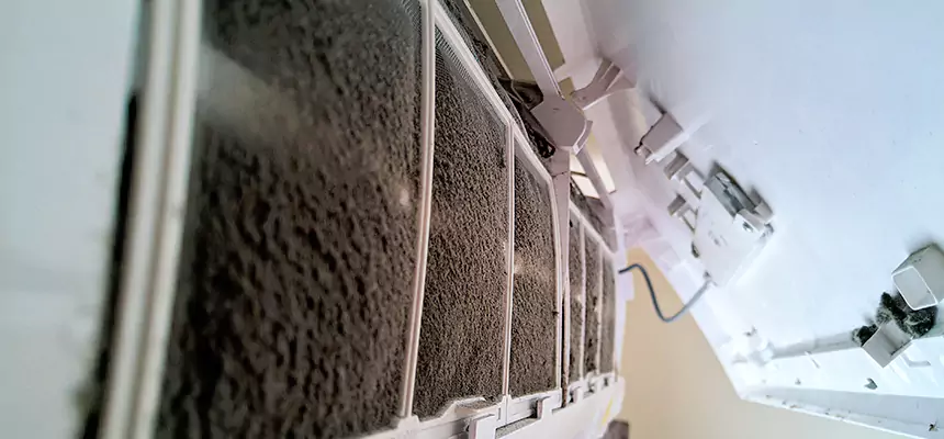 Preventive Air Duct Bacteria Removal in Issaquah