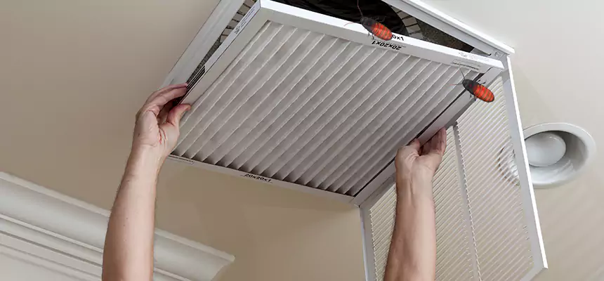 Preventive Cockroach-Proofing for Ducts in Issaquah