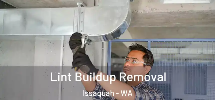  Lint Buildup Removal Issaquah - WA