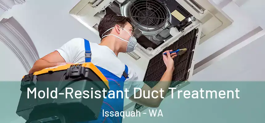  Mold-Resistant Duct Treatment Issaquah - WA