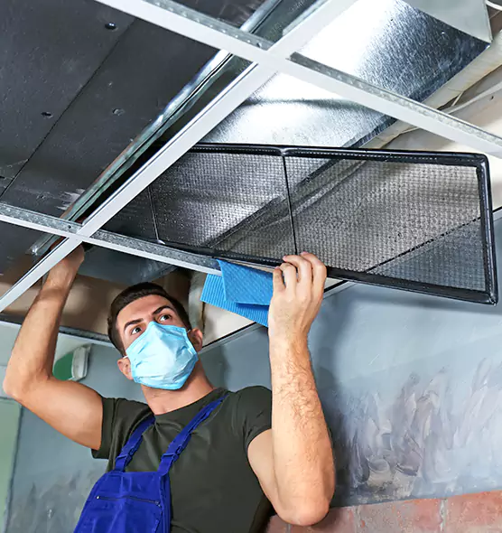 About Air Duct Bacteria Removal in Issaquah