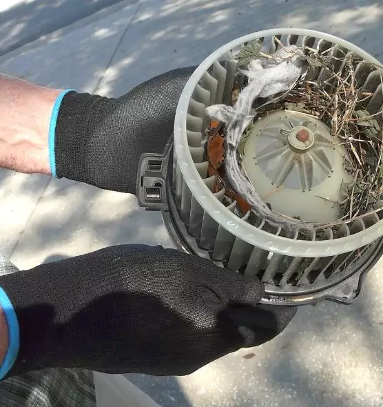 About Air Duct Mice Removal in Issaquah, WA