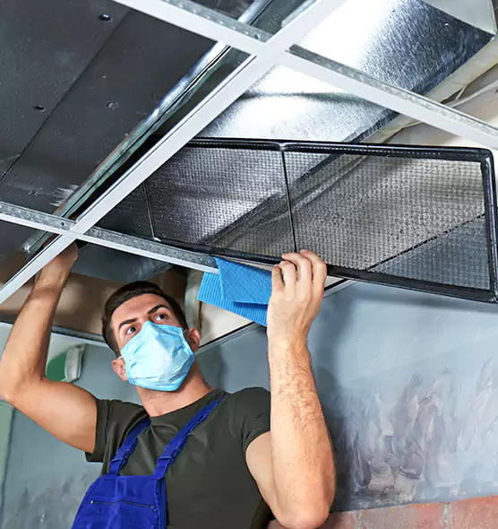 Professional Air Duct Pollen Cleaning in Issaquah, WA