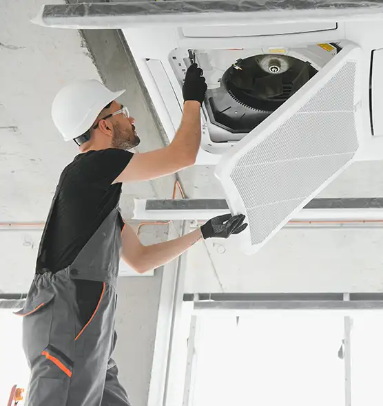 About Air Duct Rodent Removal in Issaquah, WA