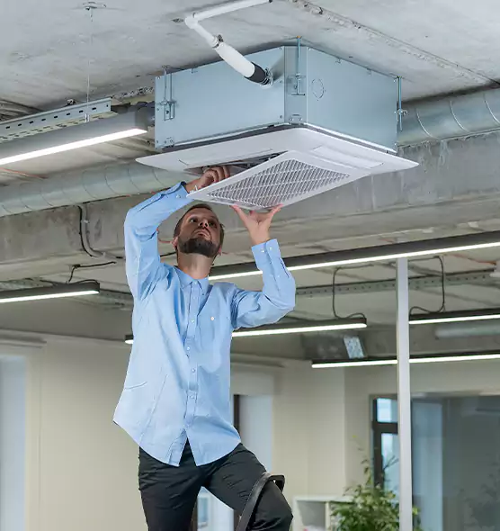 Advanced Rodent Droppings In Vents in Issaquah, WA