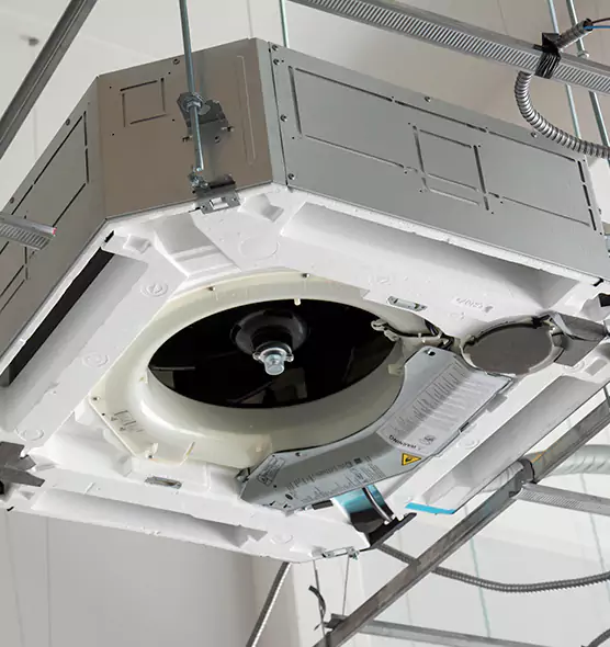 Professional Roof Vent Lint Removal Issaquah, WA