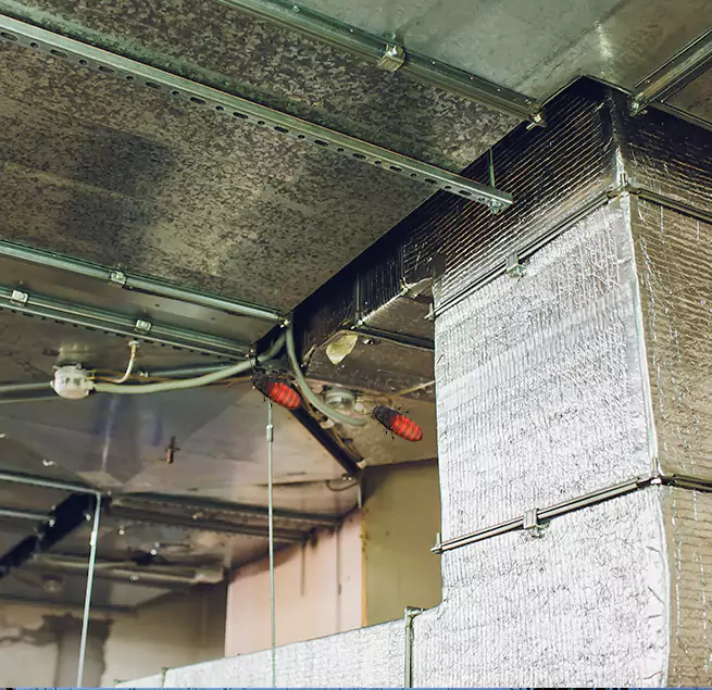 Why Homeowners & Businesses Trust Us in Issaquah, WA?