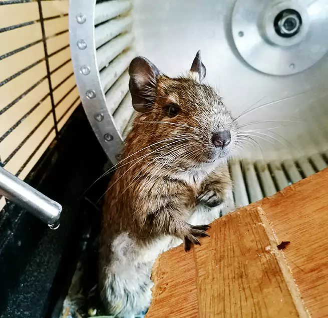 Why Homeowners & Businesses Trust Us Issaquah, WA