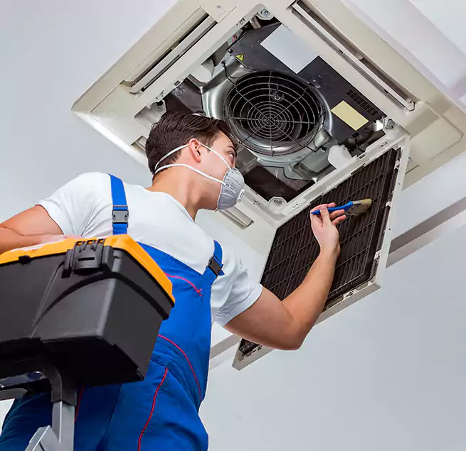 Why Homeowners & Businesses Trust Us in Issaquah, WA