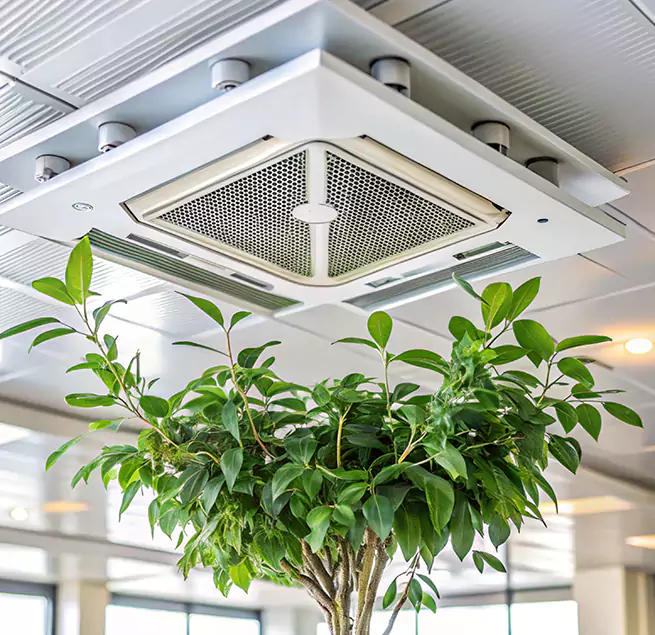 Why Homeowners & Businesses Trust Us in Issaquah, WA?