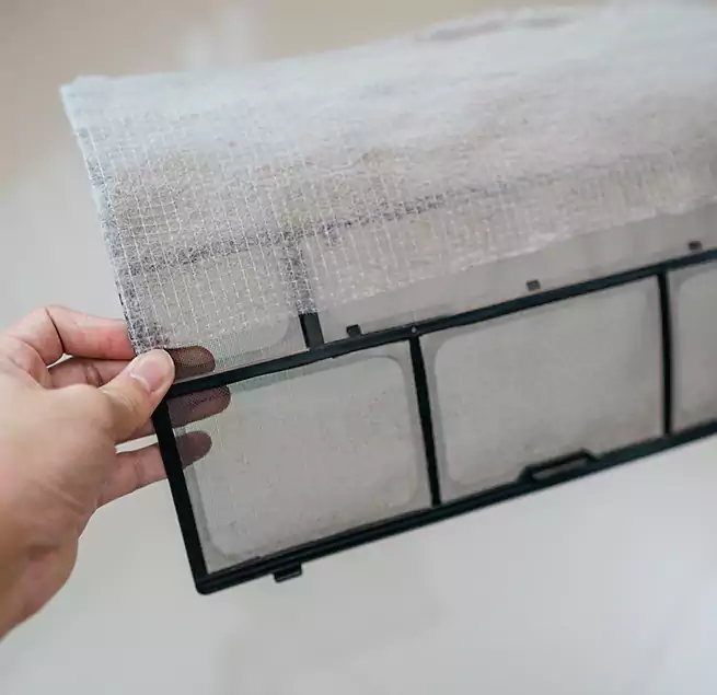 Why Homeowners & Businesses Trust Us in Issaquah, WA?