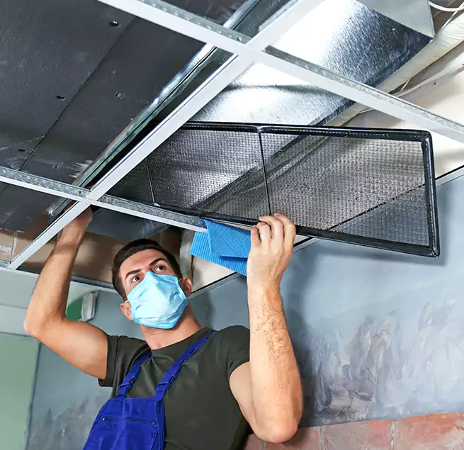 Why Homeowners Businesses Trust Us in Issaquah, WA